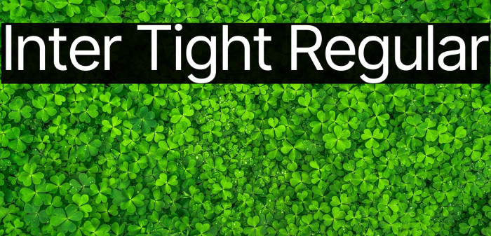 Inter Tight Regular Caratteri examples