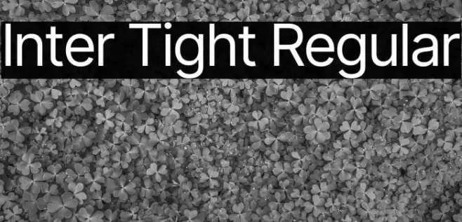 Inter Tight Regular Font examples