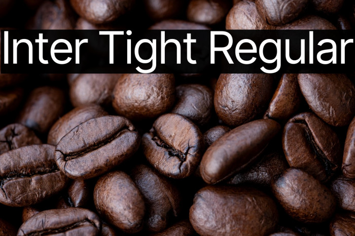 Inter Tight Regular Caratteri examples