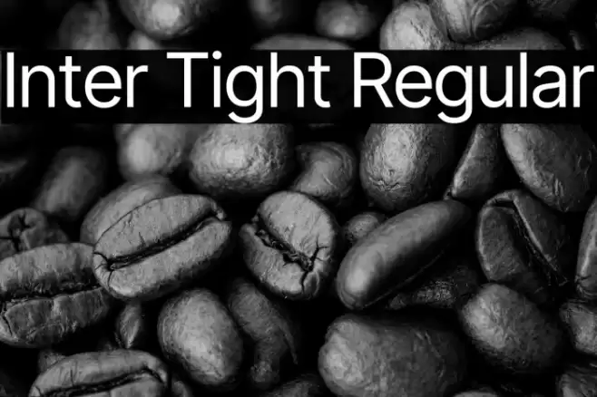 Inter Tight Regular Font examples