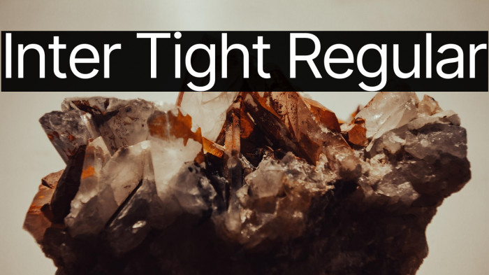 Inter Tight Regular Caratteri examples