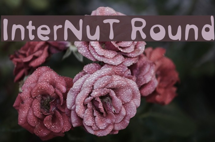 InterNuT Round Font examples