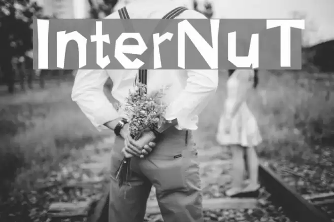 InterNuT Font examples