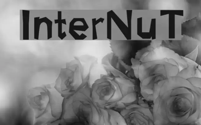 InterNuT Font examples