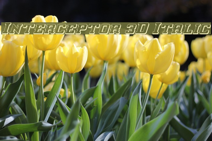 Interceptor 3D Italic Example 1