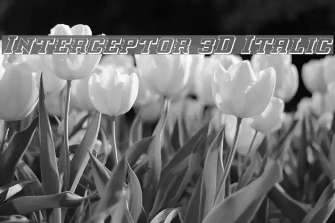 Interceptor 3D Italic Font examples