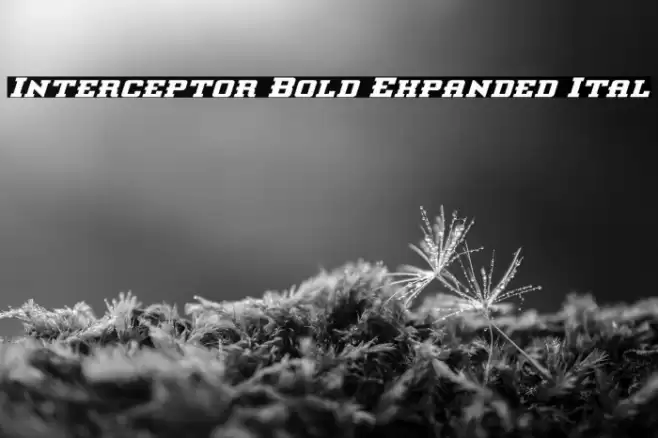 Interceptor Bold Expanded Ital Font examples