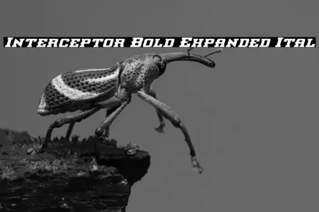Interceptor Bold Expanded Ital Font examples