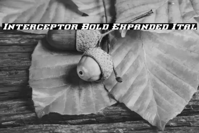 Interceptor Bold Expanded Ital Font examples