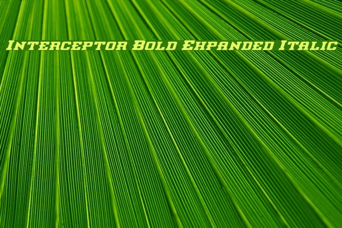 Interceptor Bold Expanded Italic Font examples