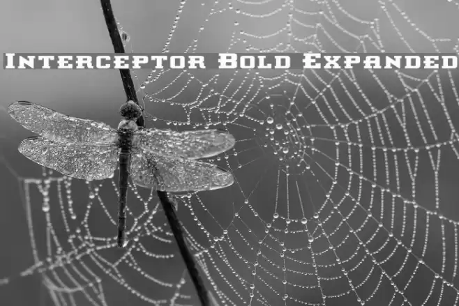 Interceptor Bold Expanded Font examples