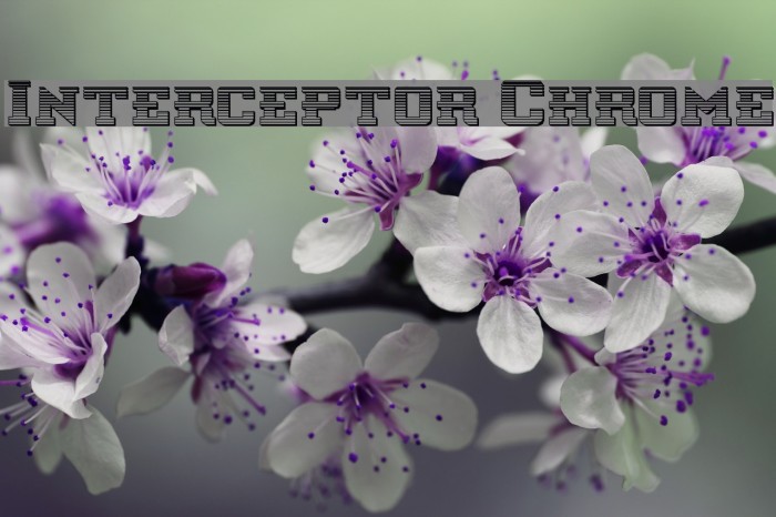 Interceptor Chrome Font examples