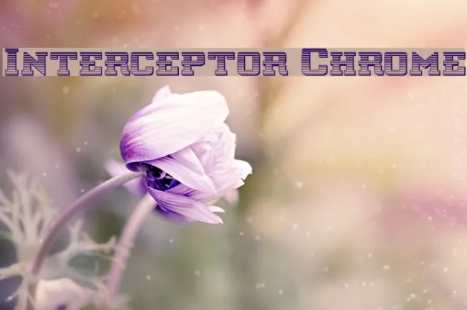 Interceptor Chrome Example 3
