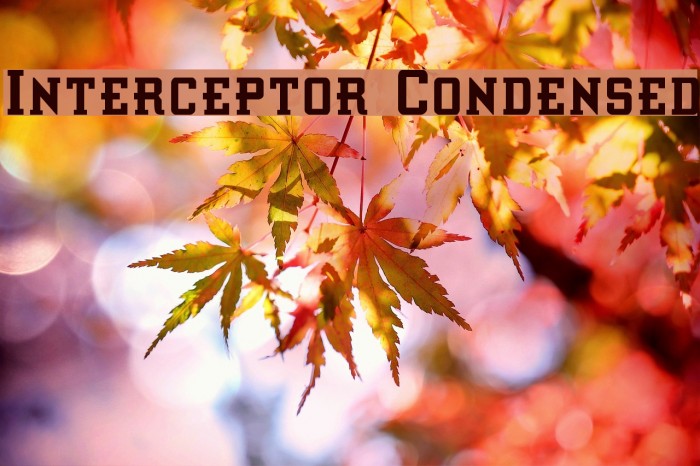 Interceptor Condensed Schriftart examples