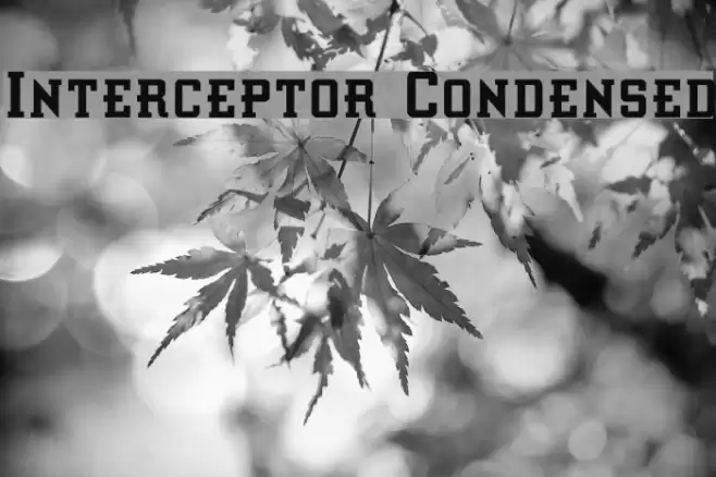 Interceptor Condensed Schriftart examples