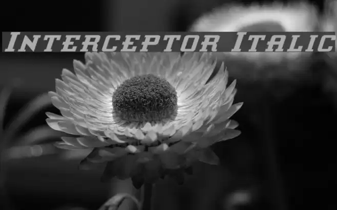 Interceptor Italic Font examples