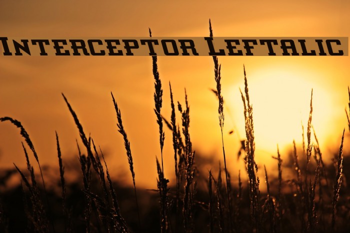 Interceptor Leftalic Font examples