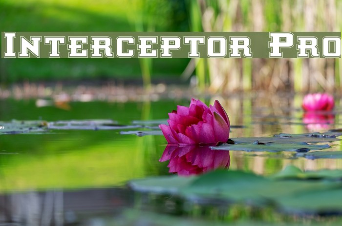 Interceptor Pro Font examples