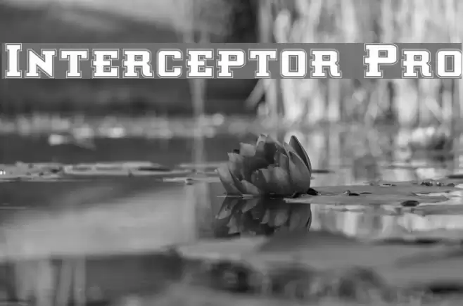 Interceptor Pro Fuentes examples