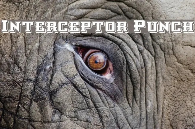 Interceptor Punch Example 1
