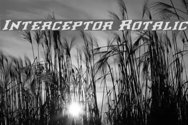 Interceptor Rotalic Font examples