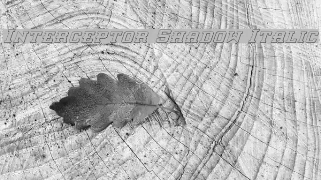 Interceptor Shadow Italic Font examples