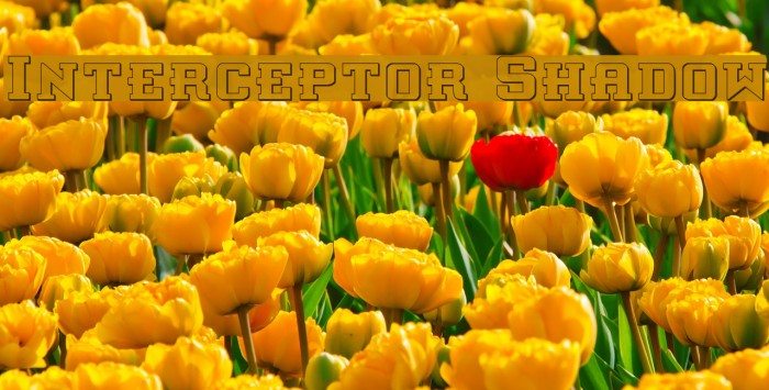 Interceptor Shadow Font examples