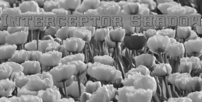 Interceptor Shadow フォント examples
