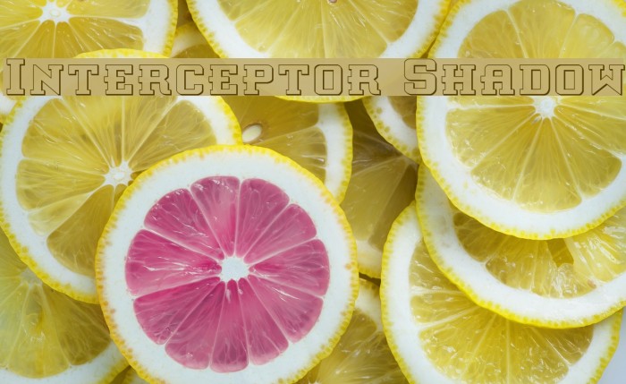 Interceptor Shadow Font examples