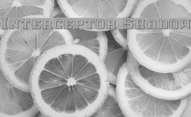 Interceptor Shadow フォント examples