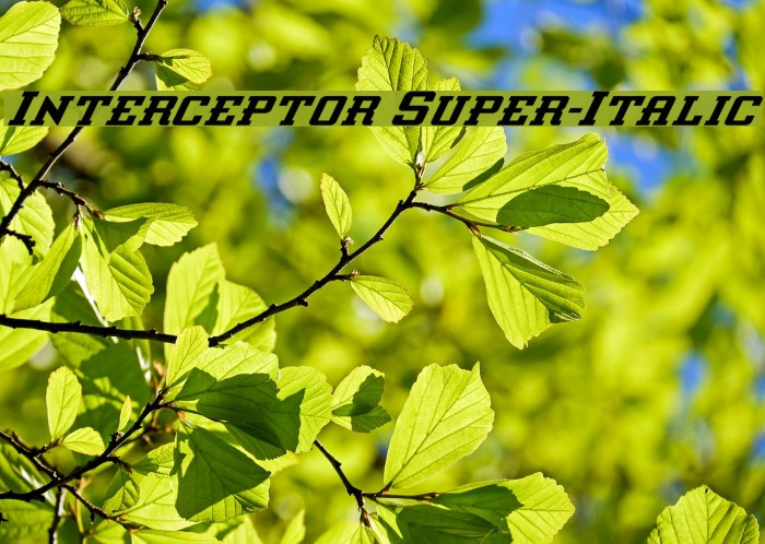 Interceptor Super-Italic Font examples