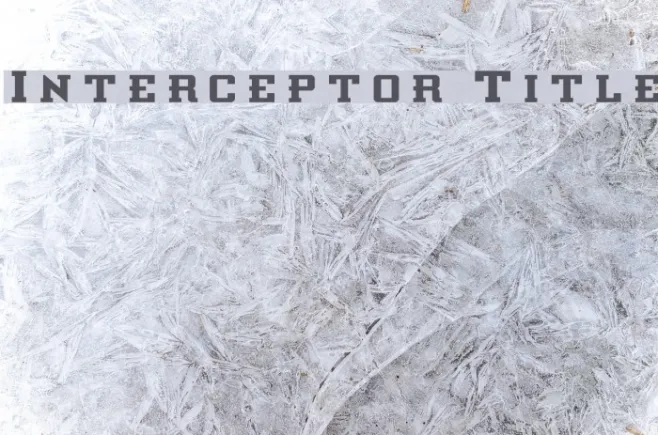 Interceptor Title Example 1