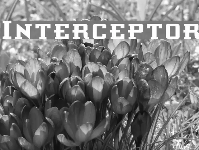 Interceptor Fuentes examples