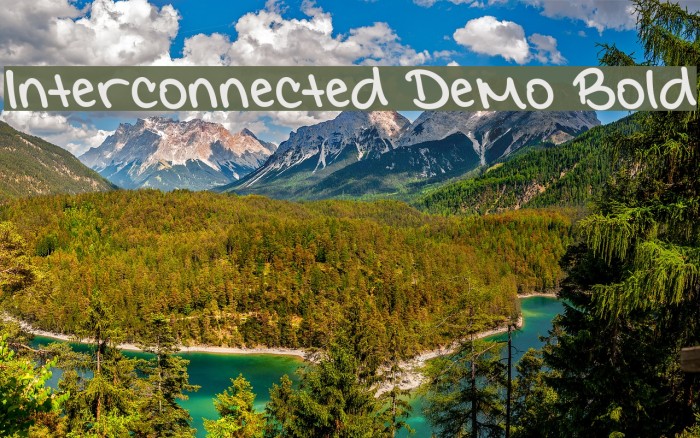 Interconnected Demo Bold Шрифта examples
