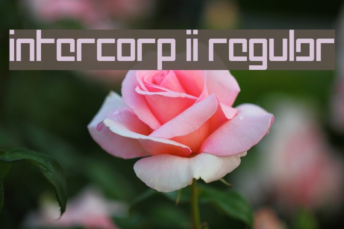 Intercorp II Regular Font examples