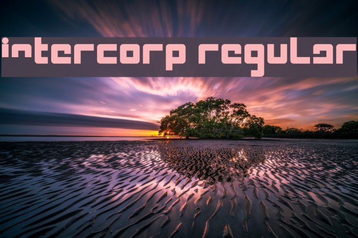 Intercorp Regular Font examples
