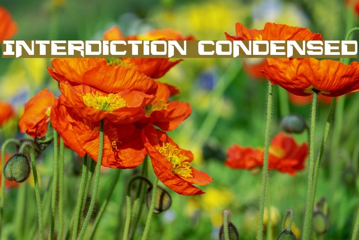 Interdiction Condensed Font examples