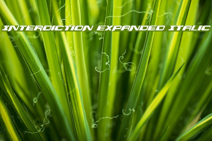 Interdiction Expanded Italic Font examples