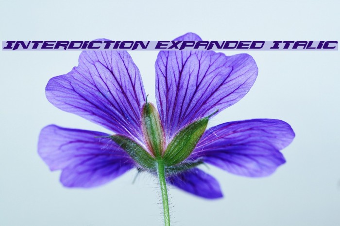 Interdiction Expanded Italic Font examples