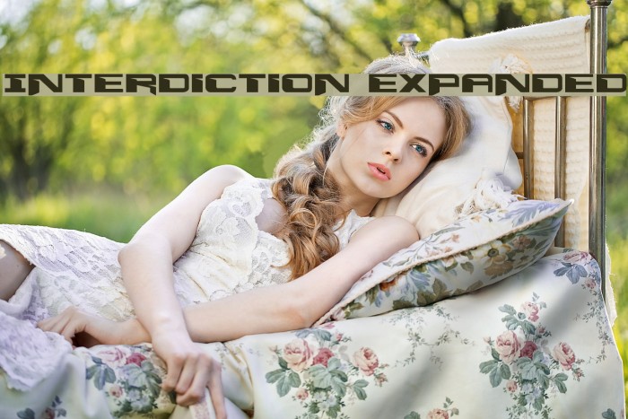 Interdiction Expanded Example 1