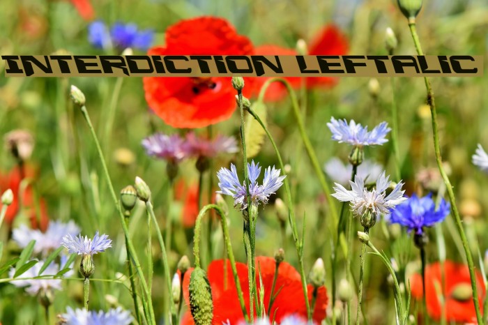 Interdiction Leftalic Font examples