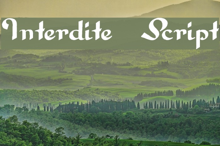 Interdite Script Font examples