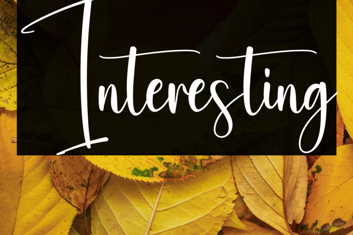 Interesting Example 1