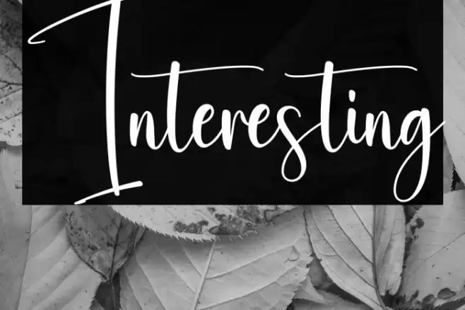 Interesting Font examples