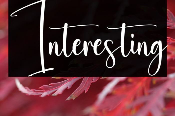 Interesting Example 2