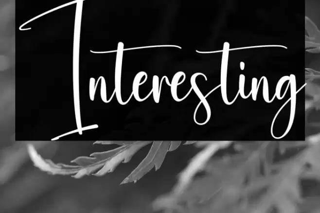 Interesting Font examples