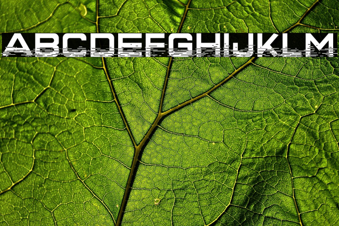 Interfearence Example 3