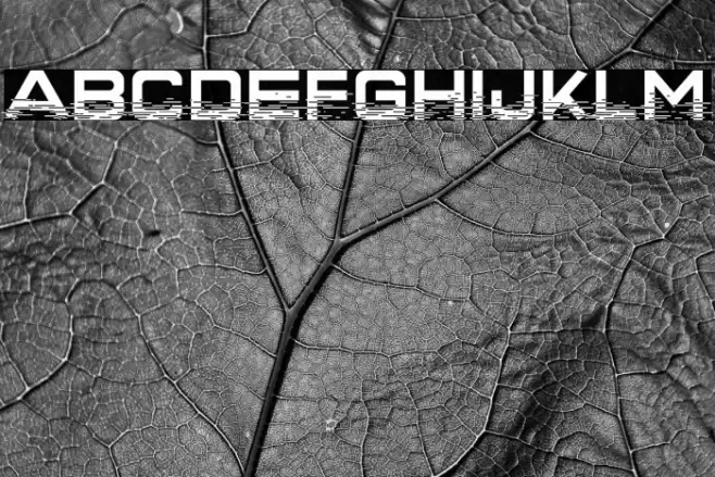 Interfearence خط examples