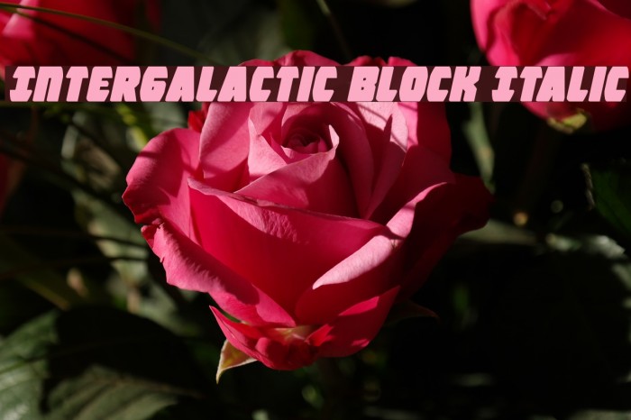 Intergalactic Block Italic Font examples