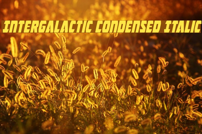 Intergalactic Condensed Italic Font examples